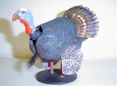 Bobble Head Turkey
